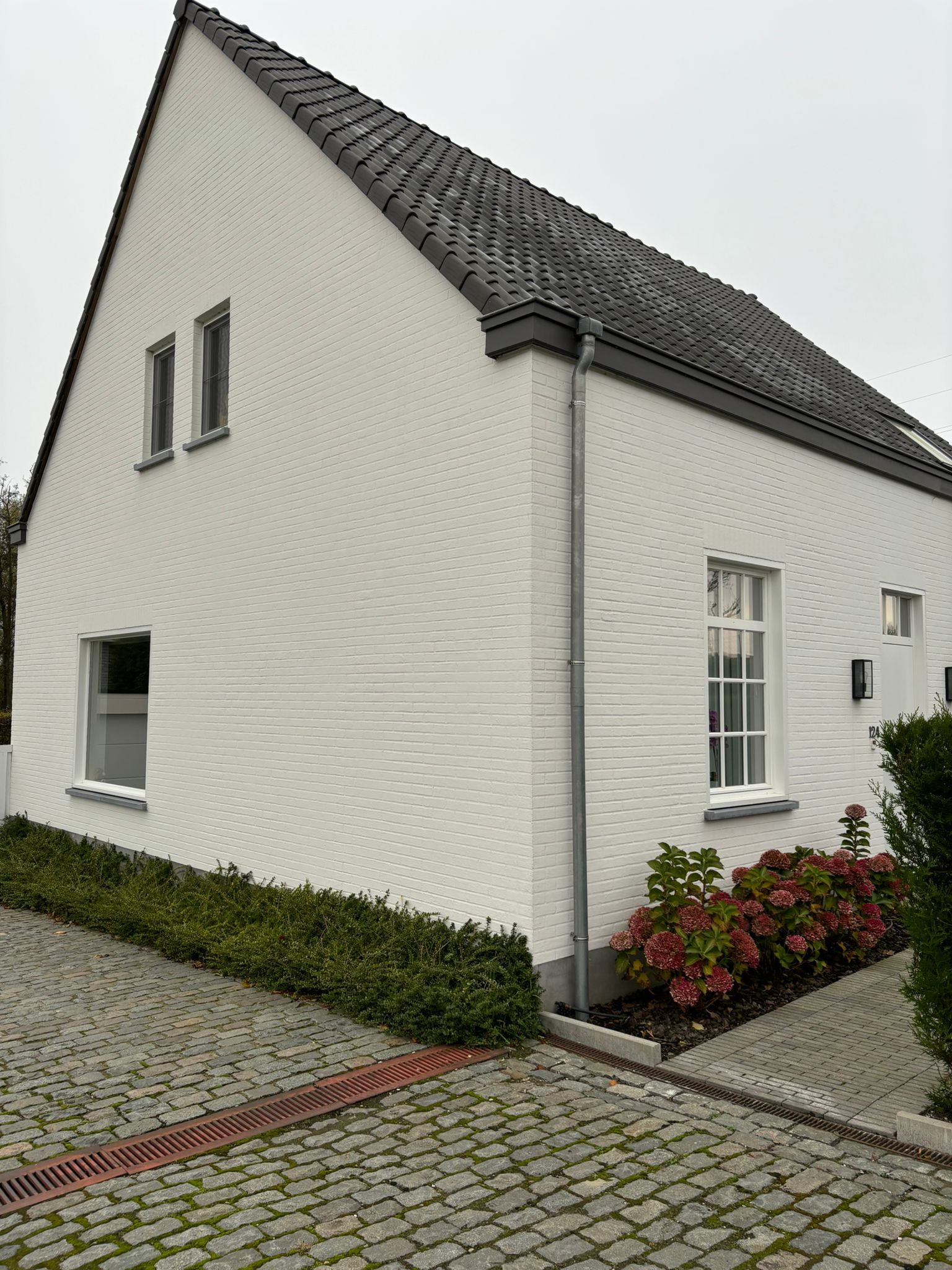 Steenlook 4